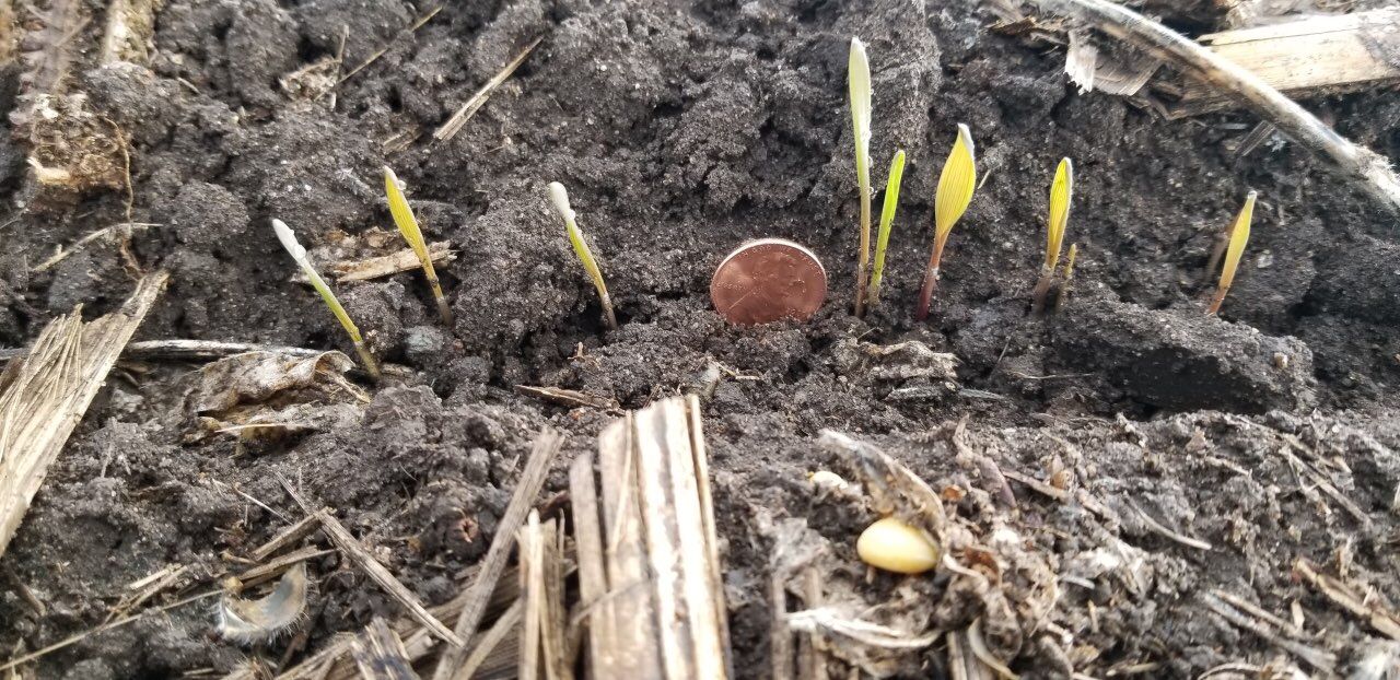 CropWatchers 2.0: From combines to planters